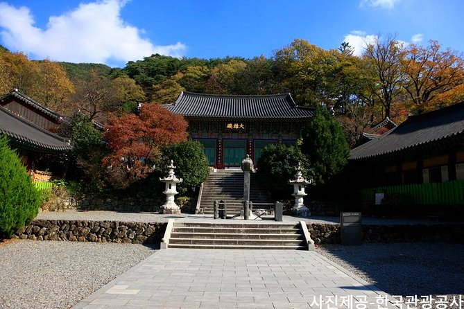 Scenic Jiri Mountain Autumn Foliage One Day Tour from Busan - Autumn timing and weather planning