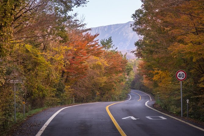 Scenic Jiri Mountain Autumn Foliage One Day Tour from Busan - The journey from Busan to the park