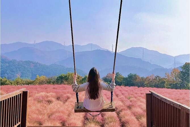 Seasonal Pocheon Full Day Tour with Apple Farm Experience - Key points at a glance