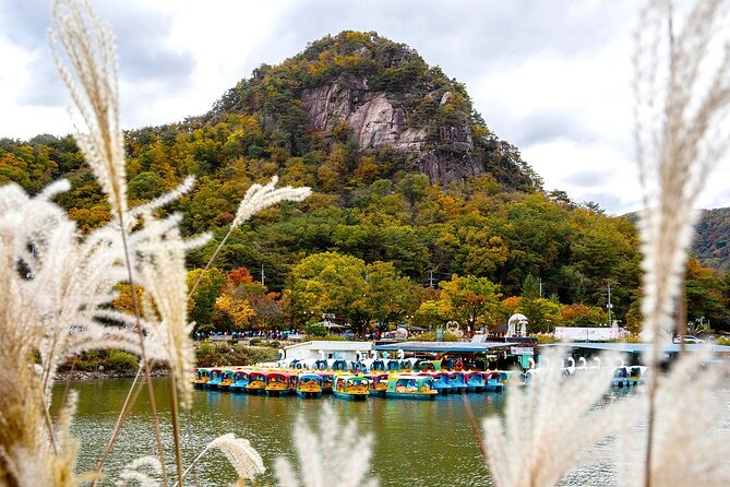 Seasonal Pocheon Full Day Tour with Apple Farm Experience - Why Pocheon works well as a day trip from Seoul
