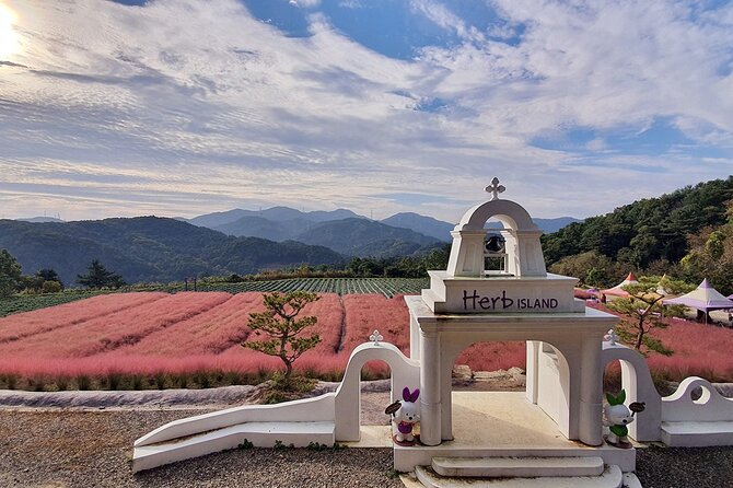 Seasonal Pocheon Full Day Tour with Apple Farm Experience - Herb Island and the pink muhly season