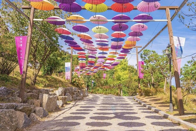 Seasonal Pocheon Full Day Tour with Apple Farm Experience - Is $73.39 a fair price?