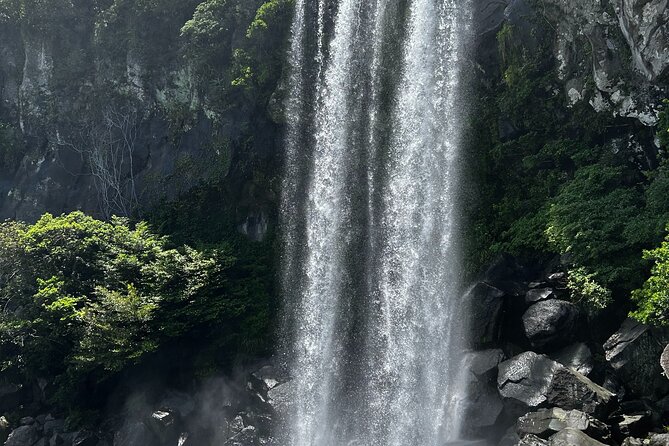 Seogwipo(the southern city of Jeju) Art Museum Walking Tour - Key points at a glance