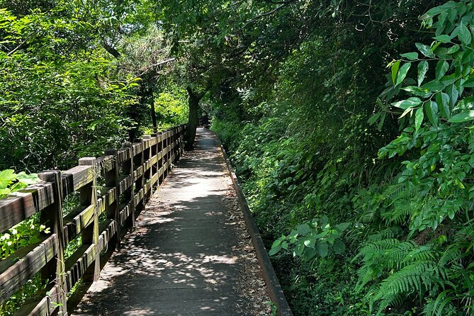 Seogwipo (The Southern City of Jeju) Jungmun Area Walking Tour - Who will get the most from the $55 price