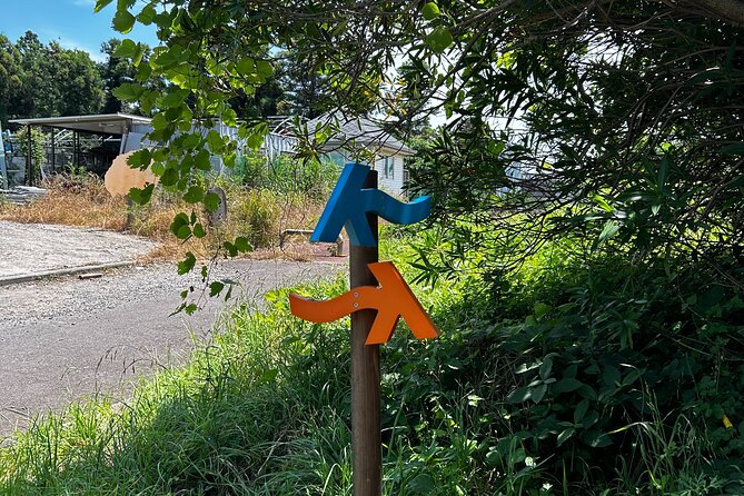 Seogwipo (The Southern City of Jeju) Jungmun Area Walking Tour - Practical planning for the 9:30 start