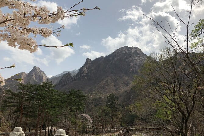Seoraksan and Cherry Blossom Lake 1 day trip from Seoul - Key points to know before booking