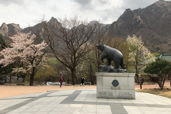Seoraksan and Cherry Blossom Lake 1 day trip from Seoul - Why this Seoul day trip works