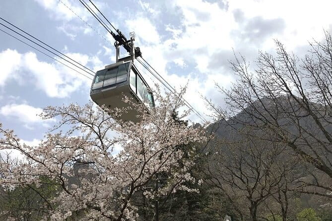 Seoraksan and Cherry Blossom Lake 1 day trip from Seoul - The ride from Seoul to Sokcho