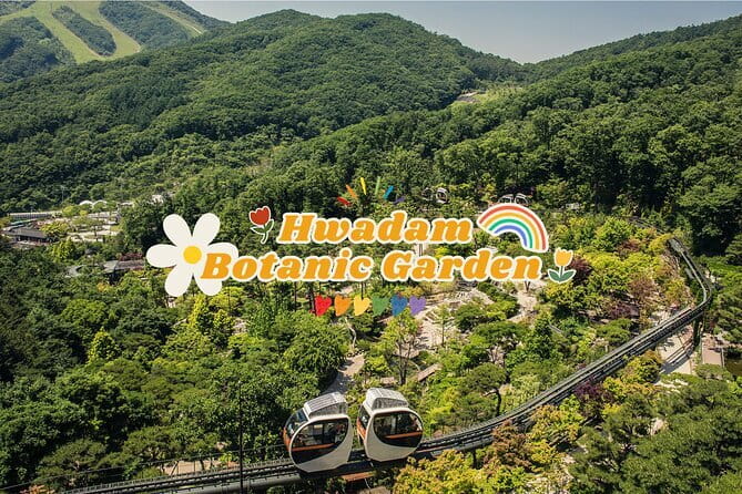 Seoraksan mt, Sokcho City, East DMZ Guided Tour - What to confirm before the 6:30 am start