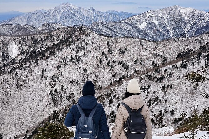 Seoraksan National Park & Nami Island - Key points to know before booking