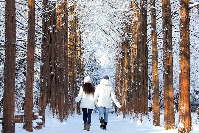 Seoraksan National Park & Nami Island - Seoraksan National Park gives you the mountain drama
