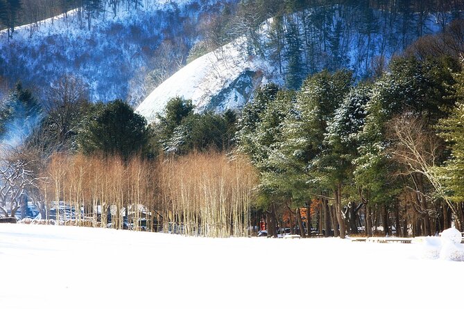 Seoraksan National Park & Nami Island - Nami Island brings a calmer second act