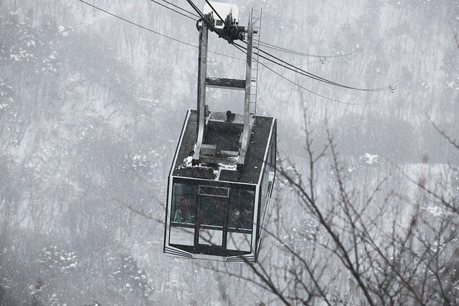 Seoraksan National Park & Nami Island - Eobi Valley adds a brief seasonal photo stop