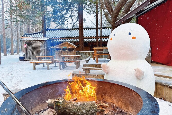 Seoraksan National Park & Nami Island - What to budget beyond the $63.07 price