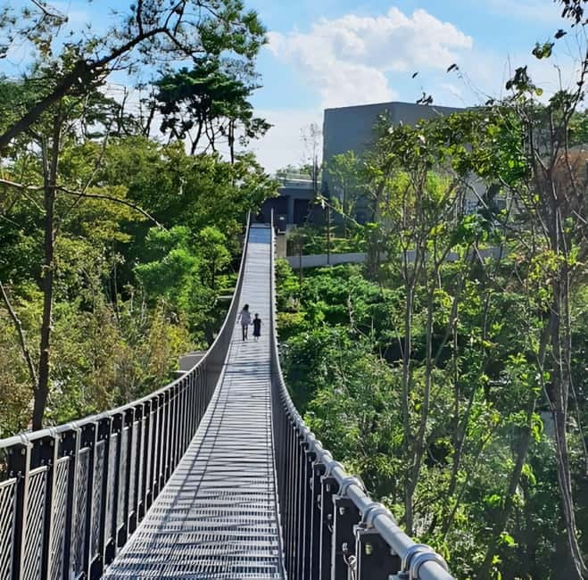 Seoul: Aegibong DMZ & Hanok Scenic/Historical One Day Tour - Aegibong Observatory and the view toward North Korea