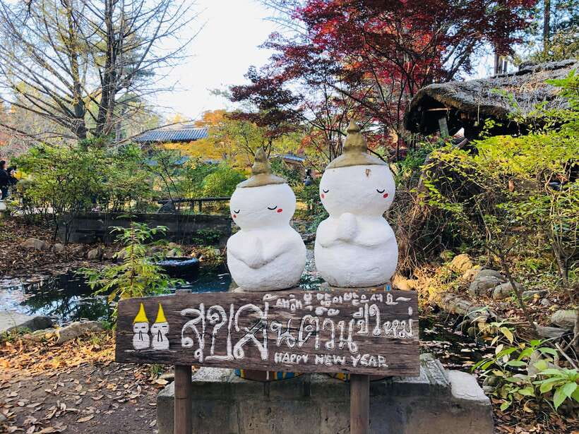 Seoul: Alpaca, Nami, Morning Calm or Eobi (+Rail Bike) - Garden of Morning Calm and the winter lights