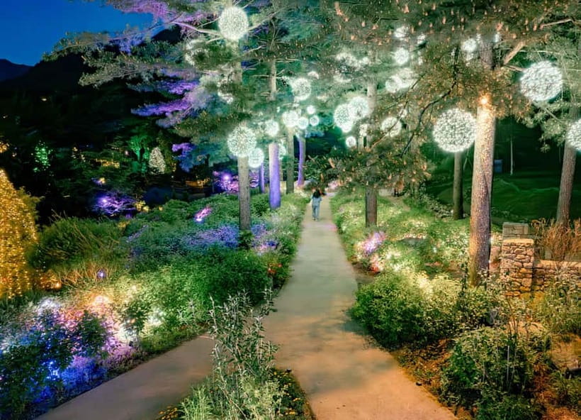 Seoul: Alpaca World and Nami Island (with Garden / Railbike) - Key points to know before you book