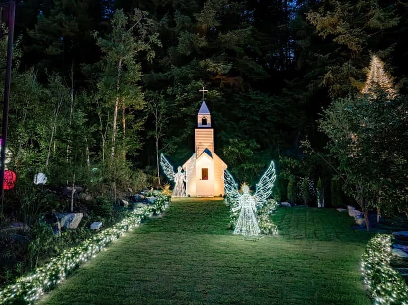 Seoul: Alpaca World and Nami Island (with Garden / Railbike) - Choose the Garden of Morning Calm for flowers and lights