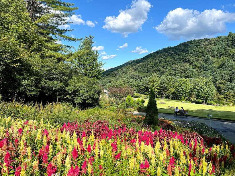 Seoul: Alpaca World and Nami Island (with Garden / Railbike) - Pick your evening light park with care