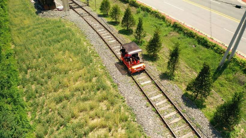 Seoul: Alpaca World and Nami Island (with Garden / Railbike) - Is $83 a fair price?