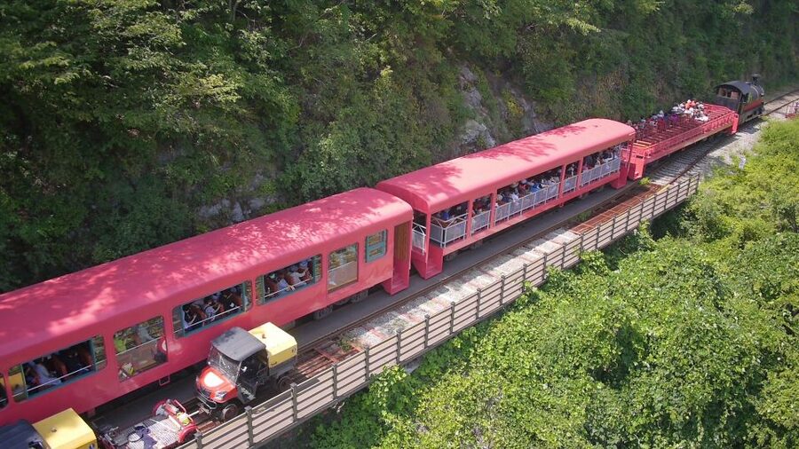 Seoul: Alpaca World & Nami Island optional Gangchon Railbike - Is the $71 price good value?