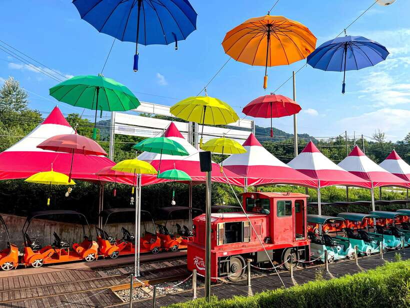 Seoul: Alpaca World & Nami Island optional Gangchon Railbike - Who will enjoy this most?
