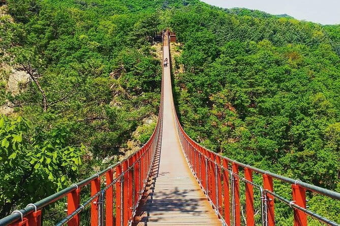Seoul and Suburbs Private Customized Tour - Nami Island: paths, art, and an easygoing stroll