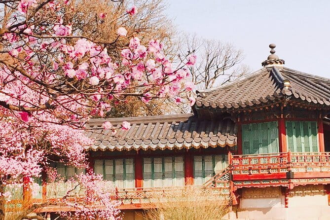 Seoul and Suburbs Private Customized Tour - What the driver adds to the experience
