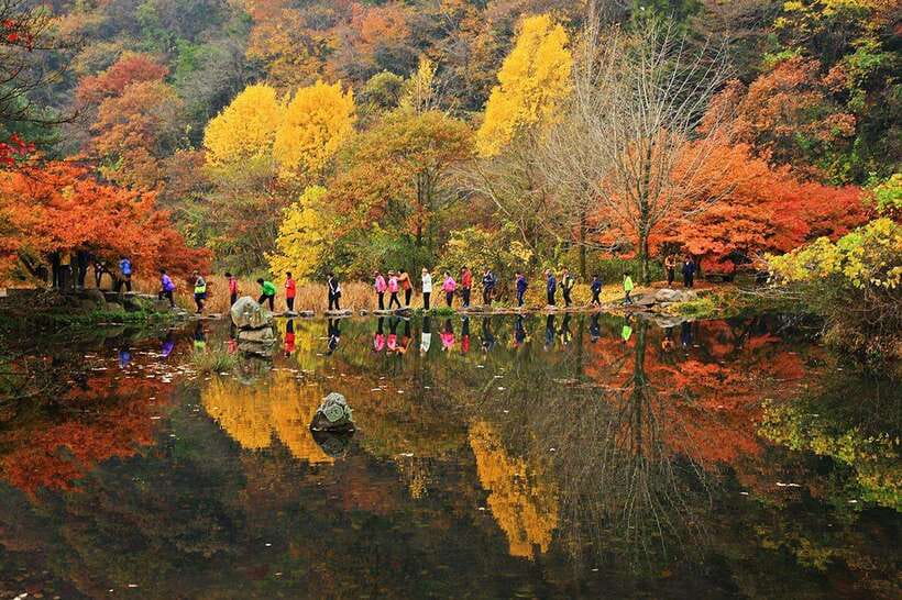 Seoul: Autumn Foliage - Mt. Naejang + Jeonju Hanok Village - Key points to know before booking