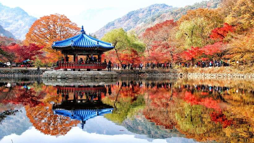 Seoul: Autumn Foliage - Mt. Naejang + Jeonju Hanok Village - Why Naejangsan is worth the long ride
