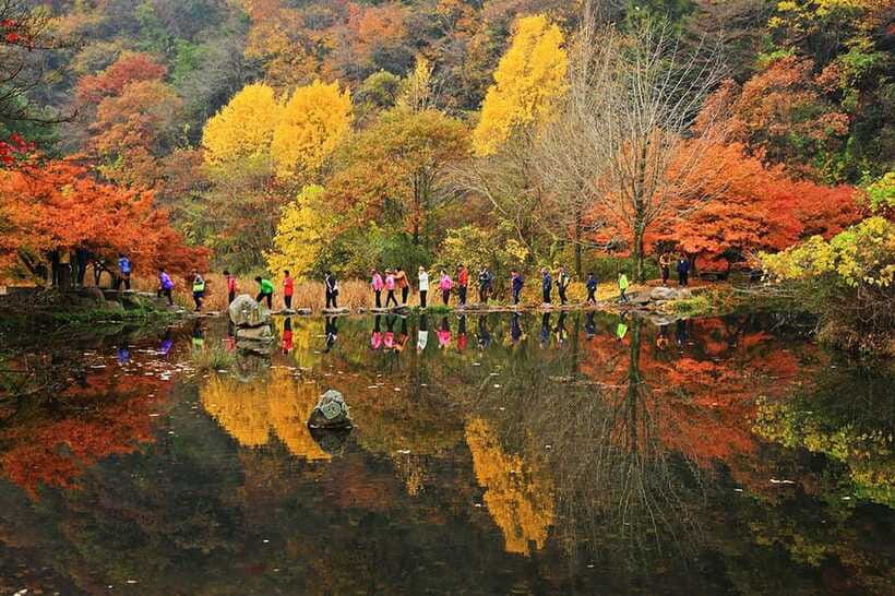 Seoul: Autumn Foliage - Mt. Naejang + Jeonju Hanok Village - What to eat in the three-hour Jeonju stop