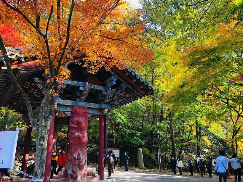Seoul: Autumn Foliage - Mt. Naejang + Jeonju Hanok Village - The 4.5-hour ride from Seoul