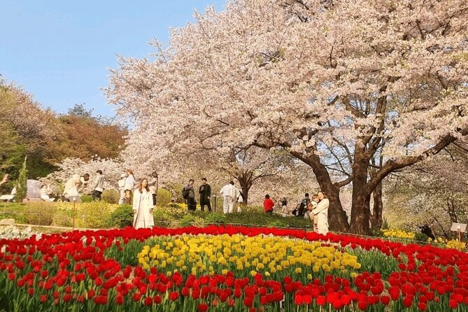 Seoul Cherry Blossom and Hanok Experience Private Car Tour - Who should book this private Seoul tour