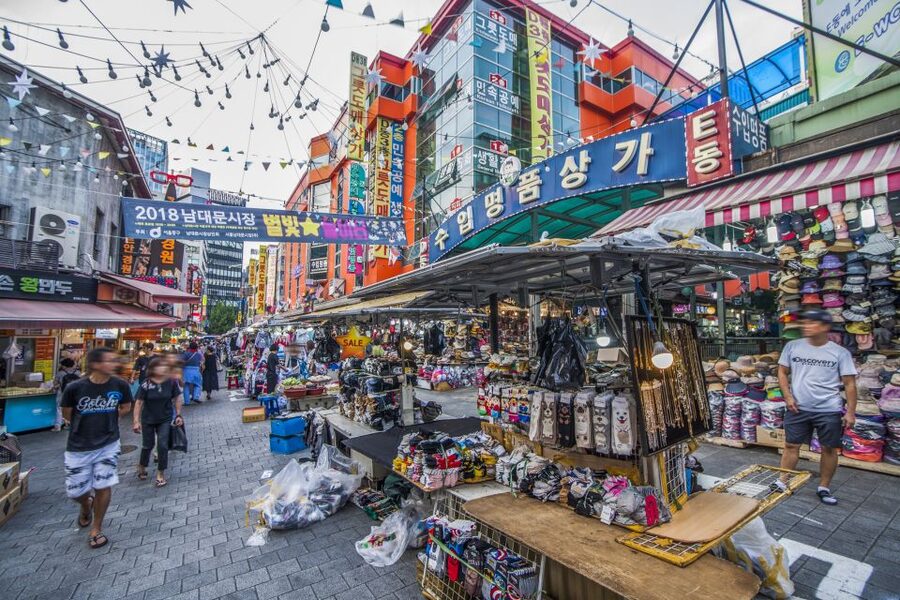 Seoul: City Highlights Full or Half Day Custom Private Tour - Palaces and the story of royal Seoul