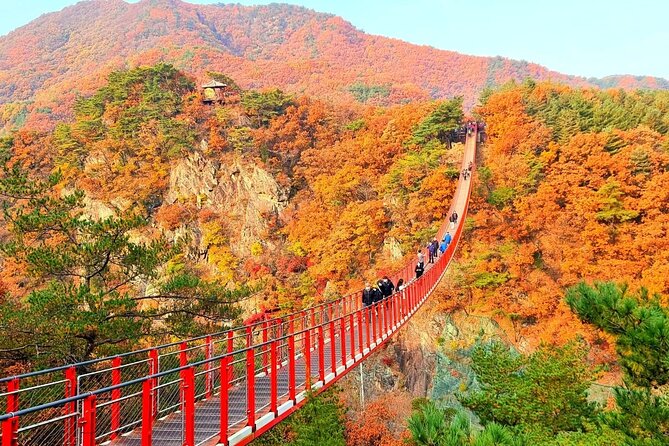 Seoul City Highlights Tour: Hanok Village, Scenic Routes - Key points to know before booking