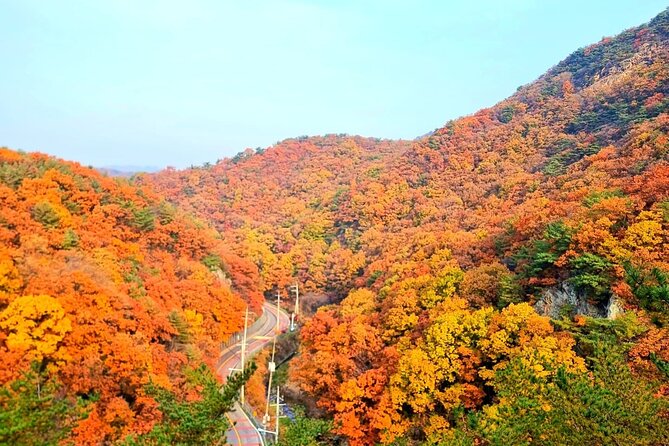 Seoul City Highlights Tour: Hanok Village, Scenic Routes - Why this day trip works beyond central Seoul