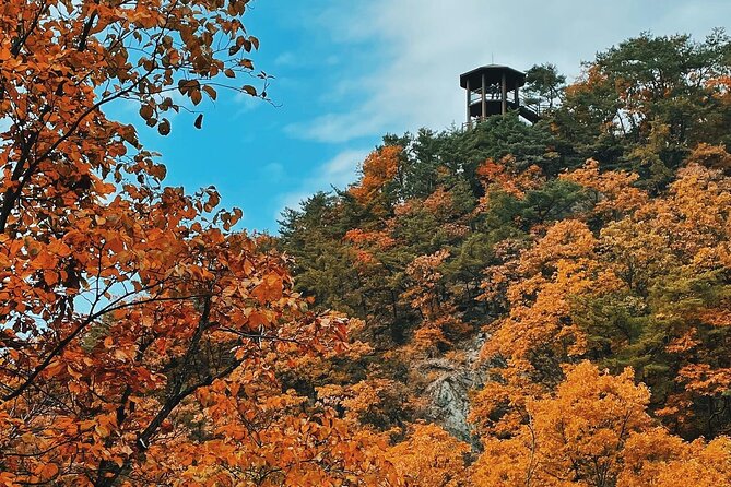 Seoul City Highlights Tour: Hanok Village, Scenic Routes - Gamaksan and the 150-meter bridge