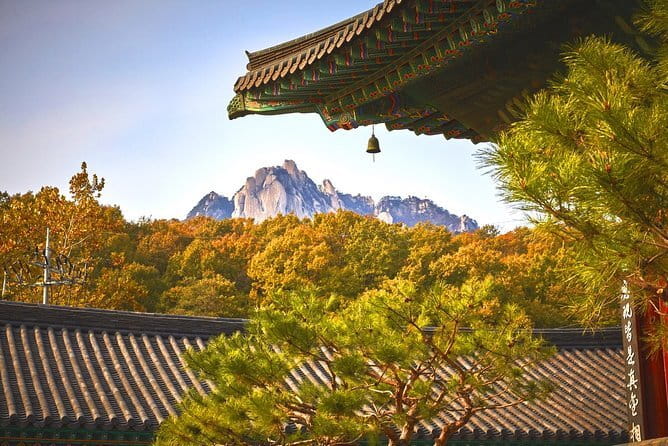Seoul City Night View tour / Small Group / 8 Max - A small group makes the evening easier