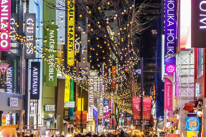 Seoul City Private Tour (Optional layover) - Why a private Seoul tour can work well in eight hours