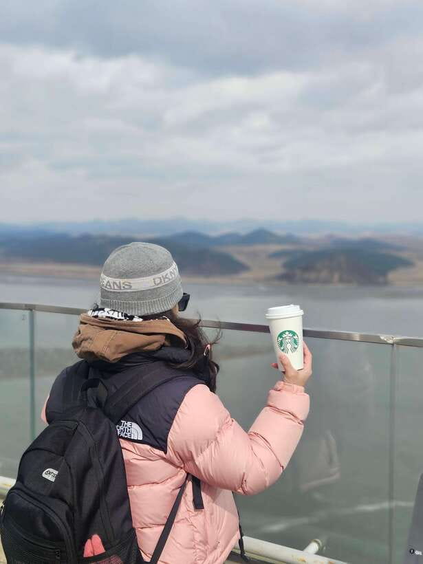 Seoul: Closest DMZ Observatory with North Korea View (1.4km) - Who Should Choose This Experience?