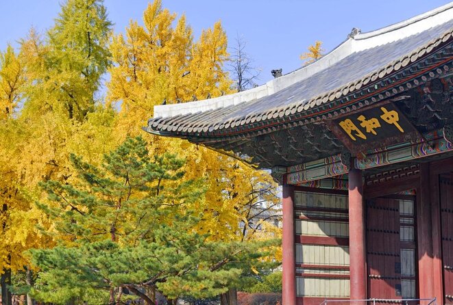 Seoul: Deoksugung Palace Night Tour - Seokjojeon and the palace’s Western face