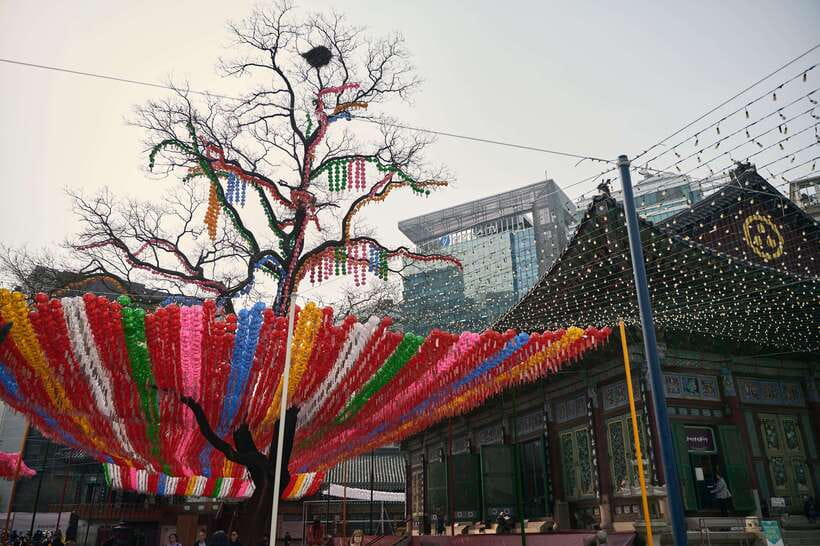 Seoul: Discovery of Old & Modern Seoul, Stories and Music - Gwangjang Market lets you choose lunch