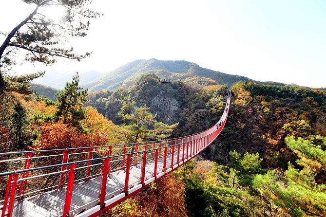 Seoul DMZ Tour with 3rd Tunnel and Red Suspension Bridge - Why this Seoul DMZ tour is worth your day