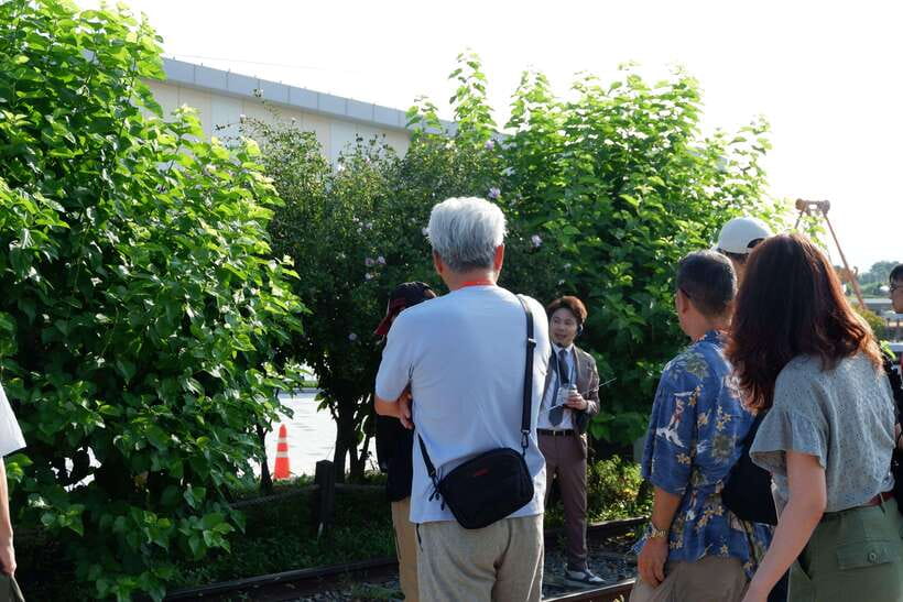 Seoul: DMZ Tour with Japanese-Speaking Guide - The practical realities of a military-controlled tour