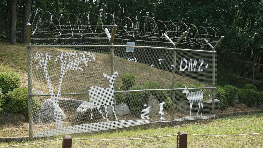 Seoul: DMZ Tour with Optional Suspension Bridge - Guides Are the Heart of the Day