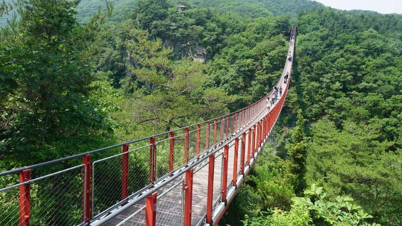 Seoul: DMZ Tour with Optional Suspension Bridge - The Ride North From Seoul