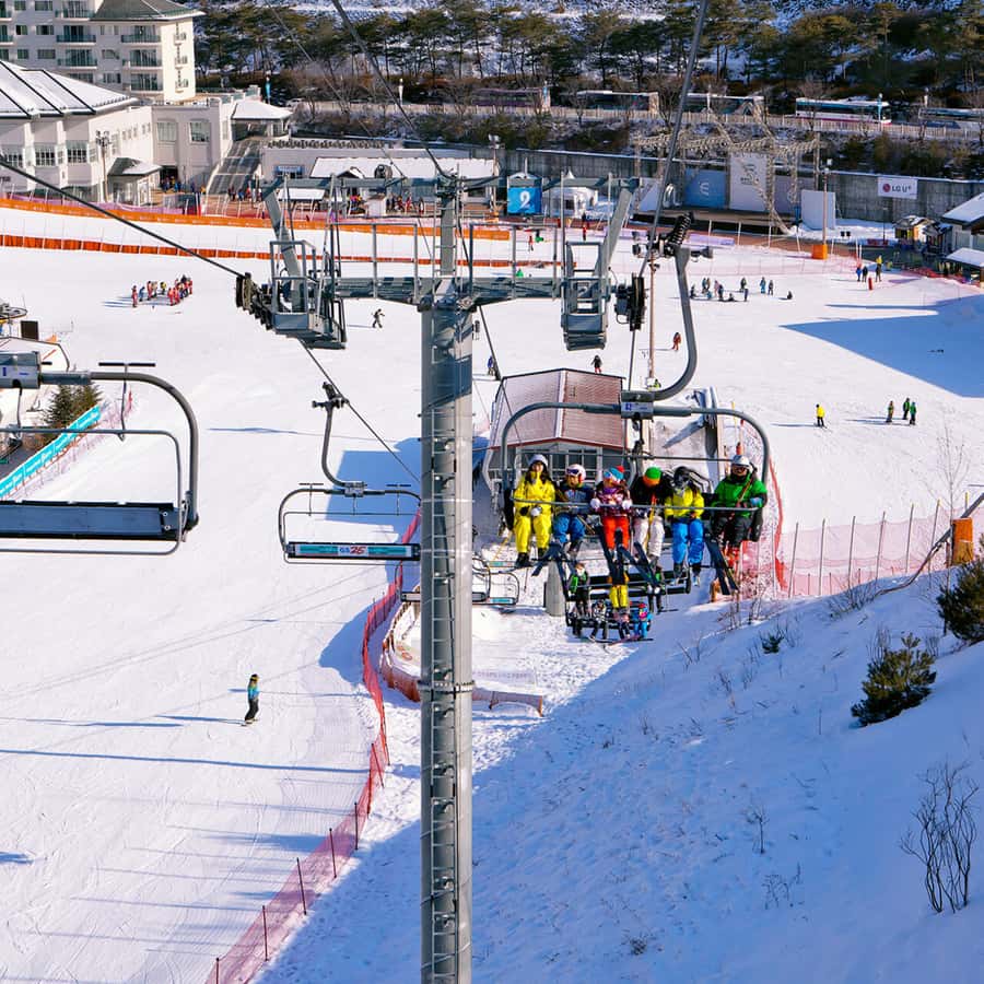 Seoul: Elysian Gangchon Winter Ski Resort Fun Day Tour - From Seoul pickup to snowy Gangwon Province