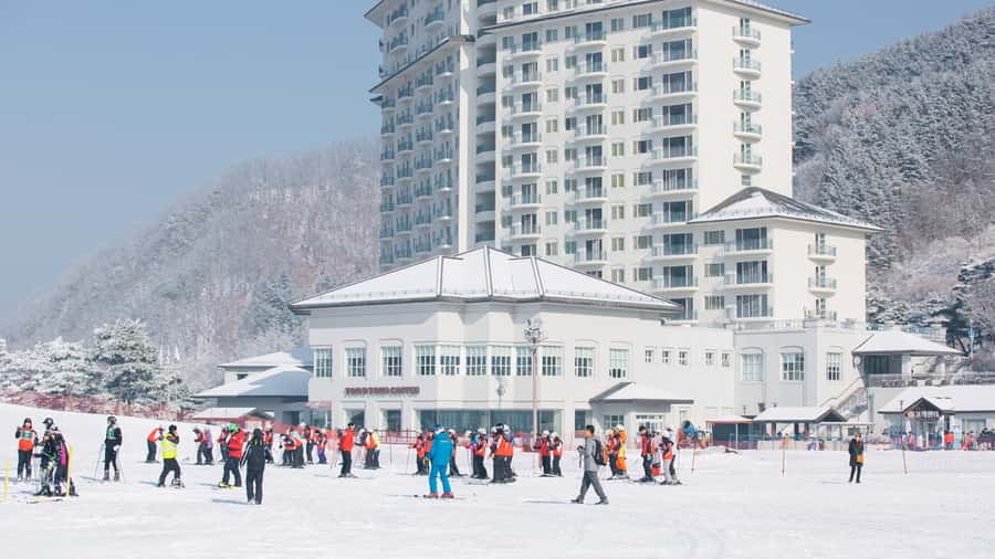 Seoul: Elysian Gangchon Winter Ski Resort Fun Day Tour - Who will enjoy this winter day most