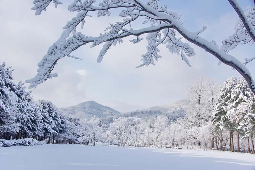 Seoul: Elysian Gangchon Winter Ski with Nami Island Day Tour - The 30-minute move to Elysian Gangchon