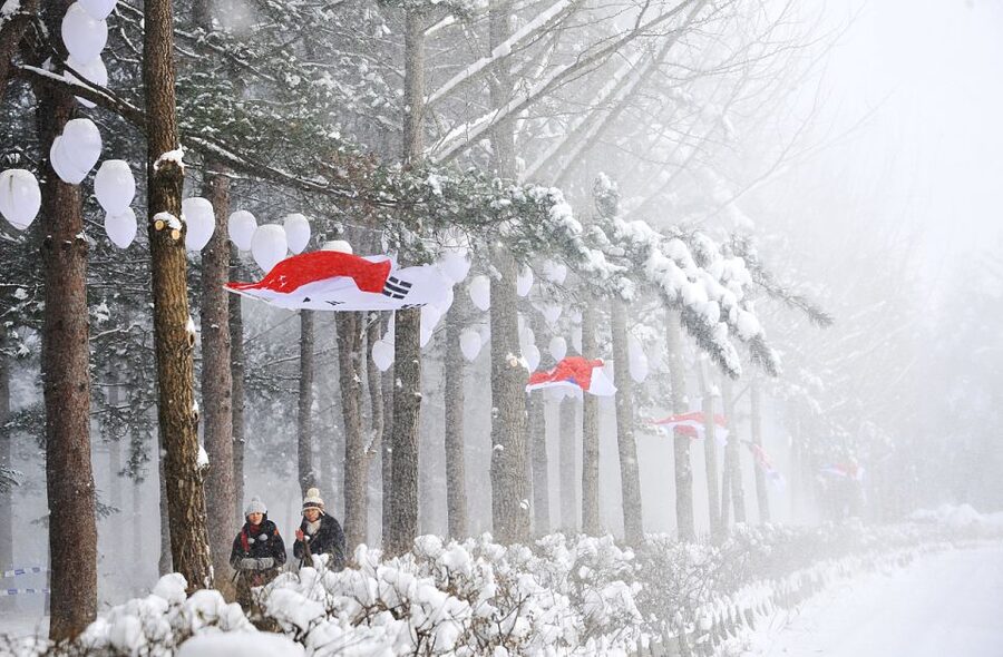 Seoul: Elysian Gangchon Winter Ski with Nami Island Day Tour - Transport, guides, and the value of the price